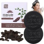 ২ পিস Polygonum Soap